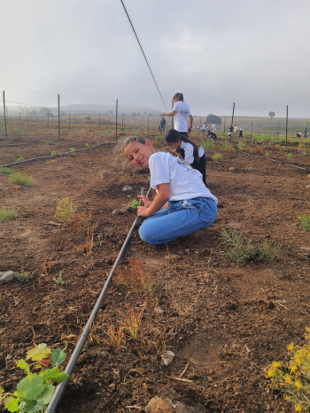 חותמים את החופש הגדול בחקלאות עם חיבורים בחקלאו